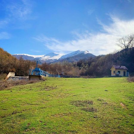 Villa Orka Pelister - Forest Zone Bitola Exteriér fotografie