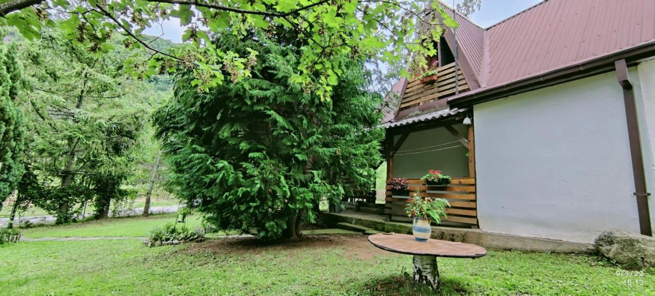 Villa Orka Pelister - Forest Zone Bitola Exteriér fotografie